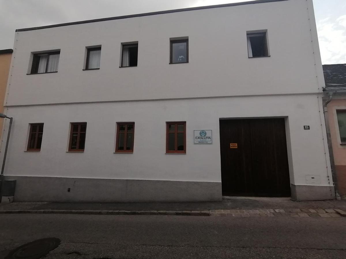 Catalleya Haus Langenlois Eksteriør bilde